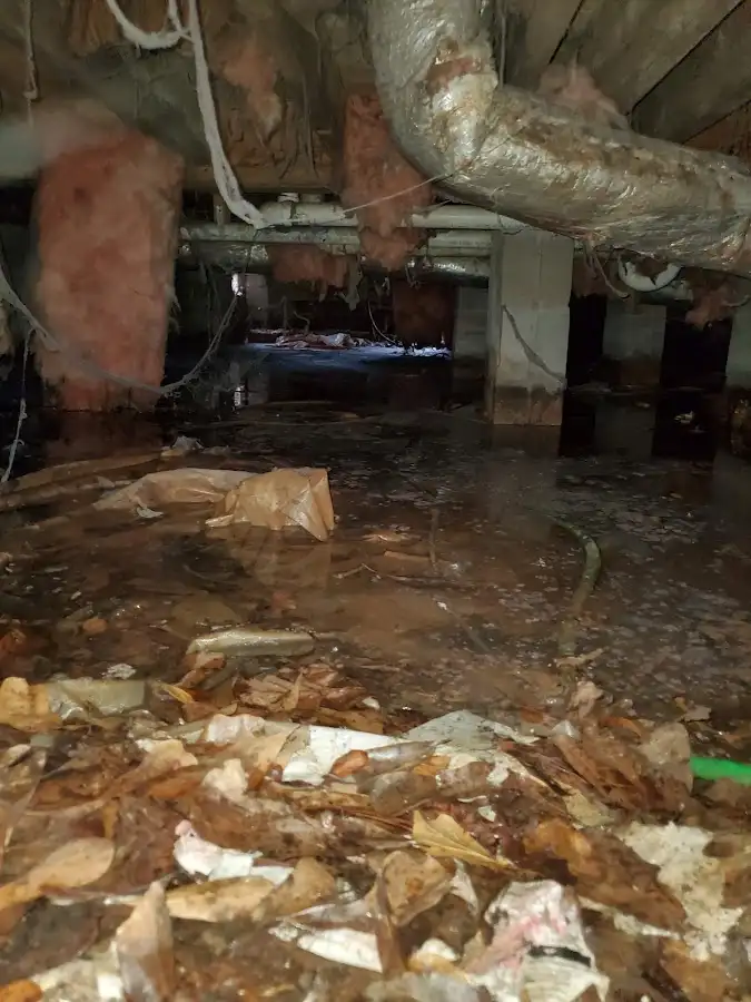 Crawl space flood assessment for Leak Detection & Repair in Big Lake