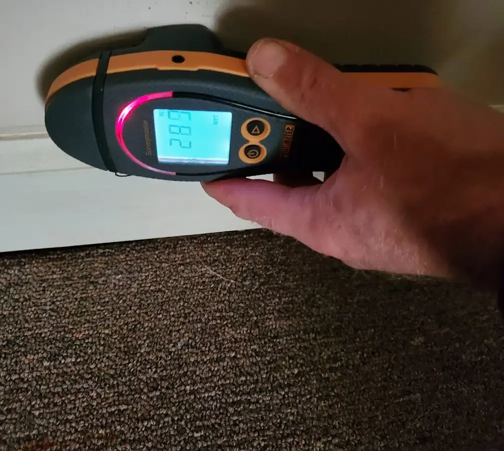 Moisture detection at baseboard during Sewage Cleanup & Sanitation in Big Lake